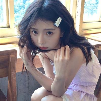 大象之梦
